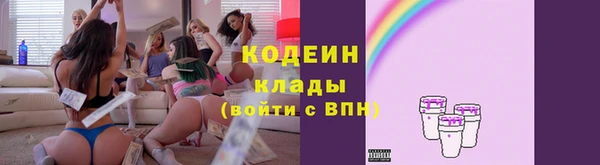 мдпв Апатиты