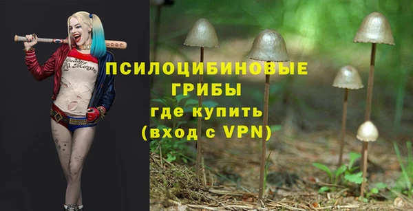 кокаин премиум Анжеро-Судженск